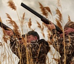 В субботу в Астраханской области откроется сезон охоты