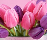 Астраханец заказал для возлюбленной букет из тюльпанов на 14 тысяч