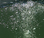 Трагедия в Енотаевке: утонули двое четырехлетних мальчишек