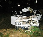  В Астраханской области автомобиль сбил лошадь: водитель пострадал, животное погибло