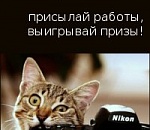 Фотоконкурс ТРК «Три Кота»