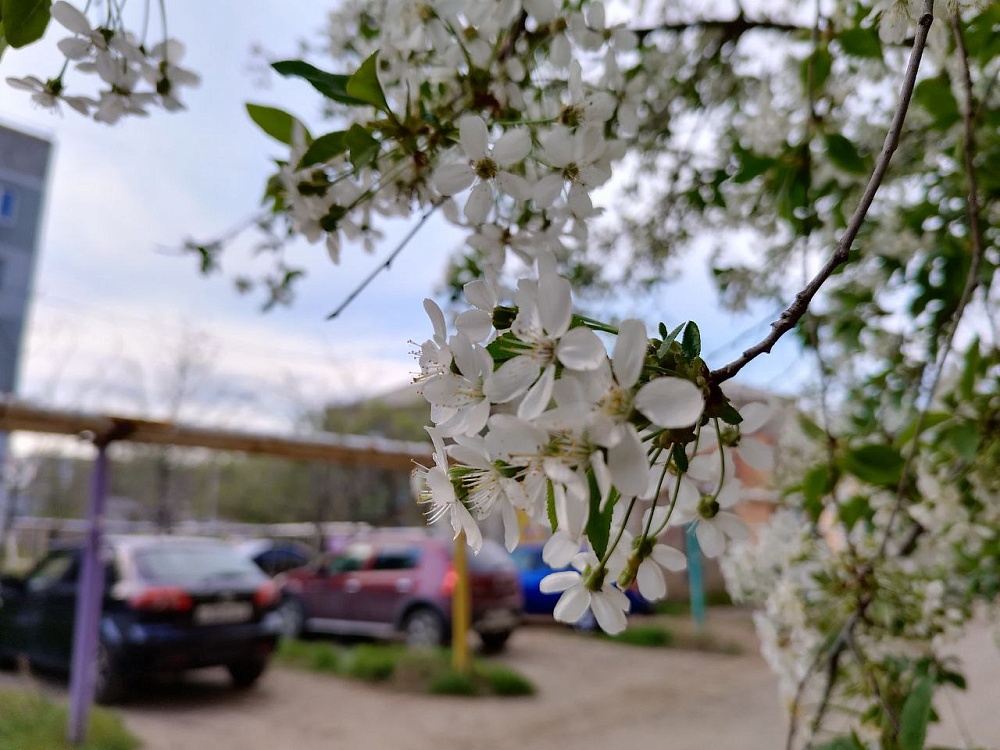 Прекрасная погода ждет астраханцев в четверг