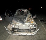 В Астраханской области лошадь расплющила иномарку всмятку, есть пострадавшие