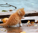 Завтра в Астрахани будет сыро и ветрено