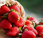 Астраханец получил удар ножом за клубнику