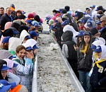 В Астраханской области выпустили около 27 тысяч особей молоди сазана