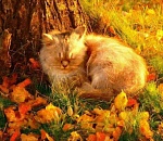 Завтра в Астрахани будет очень тепло