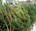 Астраханец пытался дать взятку, чтобы его другу не мешали «делать добро»