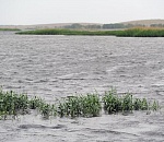 Власти будут оповещать астраханцев о паводке через соцсети