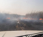 В Астраханской области горит биосферный заповедник
