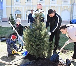 Городские депутаты сделали Астрахань зеленее 