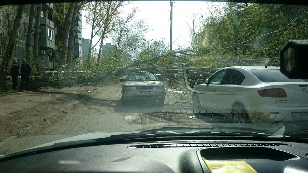 В Астрахани большая ветка упала на автомобиль
