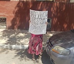 Фото дня: одна - против всех