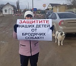 В Ахтубинском районе прошли одиночные пикеты против бездомных собак