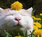 Астраханская погода готовит на майские праздники приятный сюрприз