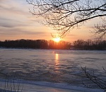 Концепция обводнения Волго-Ахтубинской поймы будет принята в середине лета