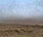 Кадры Армагеддона: соседей Астраханской области атаковали полчища саранчи