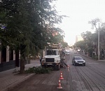 Вдоль ремонтируемых дорог в Астрахани спиливают деревья