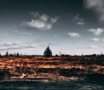 Сегодня ночью Астрахань задыхалась от гари. Воняло во всех районах 