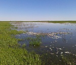 Депутаты заступились за астраханский паводок