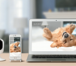 Домашнее видеонаблюдение от «Ростелекома» в один клик и по специальной цене – акция продлена до конца весны