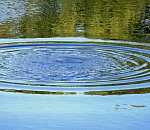 В Астраханской области утонул рыбак, приехавший из столицы