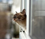 В Астрахань на этой неделе вернется весна