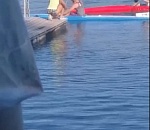 Астраханцы в соцсетях заступаются за тренера, который повел себя якобы не педагогично