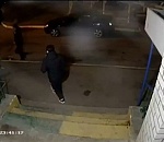 В Астрахани молодая пара жестоко забила собаку