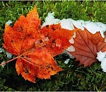 В пятницу в Астрахани немного потеплеет