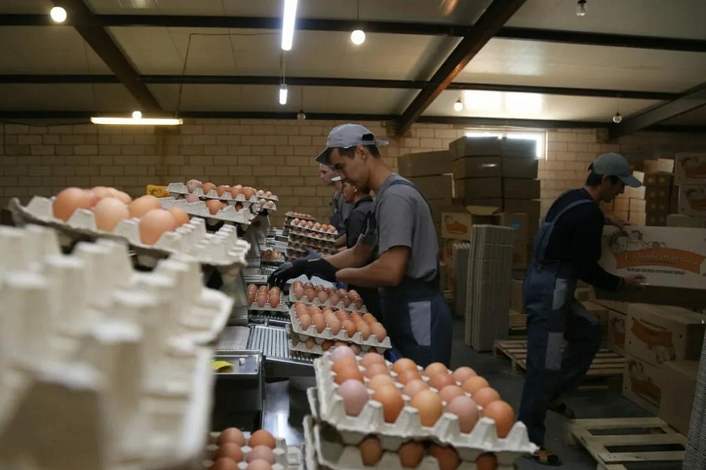 Дума Астраханской области встала на защиту Харабалинской птицефабрики