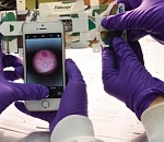 В астраханских школах появятся бумажные микроскопы