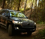 Присяжные решили судьбу отморозков, которые закопали астраханца из-за "Крузака"