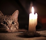 Без света остаются еще 30 000 астраханцев. Когда им включат электричество