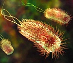 Александр Жилкин одобрил бактерии