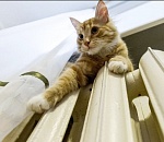 К отопительному сезону готовы более 70% многоквартирных домов в Астрахани