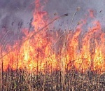 На восточной окраине Астрахани почти три часа тушили пылающий камыш