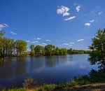 Ради Чемпионата Мира по футболу - 2018 Волго-Ахтубинскую пойму решили «засушить»