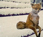 Ни мороза, ни солнца: синоптики дали прогноз погоды на среду в Астрахани