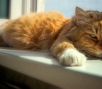 Жаркое лето возвращается в Астрахань