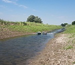 КаспНИРХ: уровень воды в Астрахани вновь упал, рыбные заморы могут усугубиться