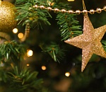 Двумя фургонами двое суток везли в Астрахань огромную елку