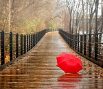 Осень в Астрахани начнется с дождя, обещают синоптики