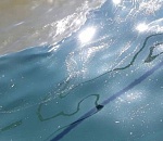 В Астрахани зафиксирован выброс нефтепродуктов в Волгу