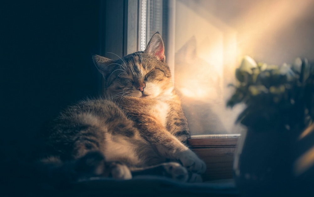 Февраль взял курс на тепло: погода в Астрахани на завтра