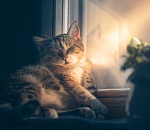 Февраль взял курс на тепло: погода в Астрахани на завтра