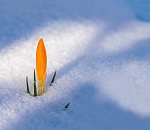 Что изменится в жизни астраханцев с 1 марта