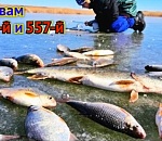 Полный пакет: в Астраханской области официально введен запрет на ловлю воблы, плотвы и щуки на 2025 и 2026 годы