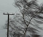 В Астрахани и области ожидается сильный ветер