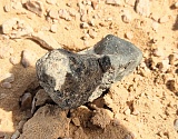 Астраханцы смогут подержать в руках найденный в Сахаре редкий метеорит